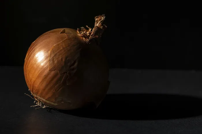 Framed Print : Single Onion Print in Dramatic Light and Shadow Framed Print : Single Onion Print in Dramatic Light and Shadow