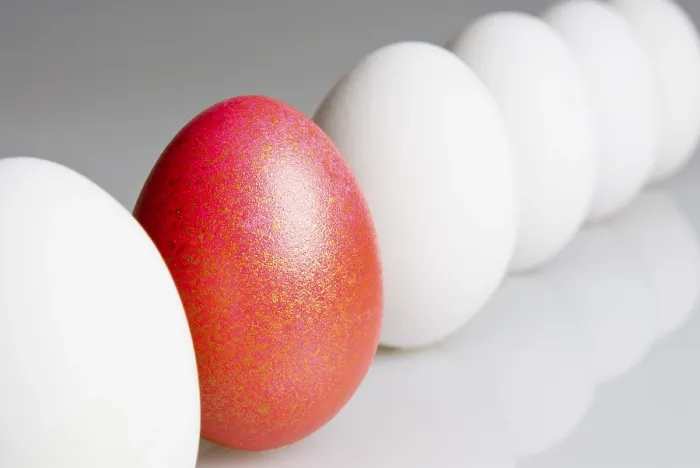 Framed Print : Single Red Egg in a Row of White Eggs Print Framed Print : Single Red Egg in a Row of White Eggs Print