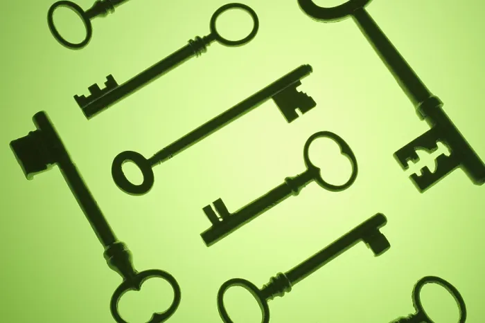 Framed Print : Skeleton Keys Print - Antique Door Hardware Framed Print : Skeleton Keys Print - Antique Door Hardware