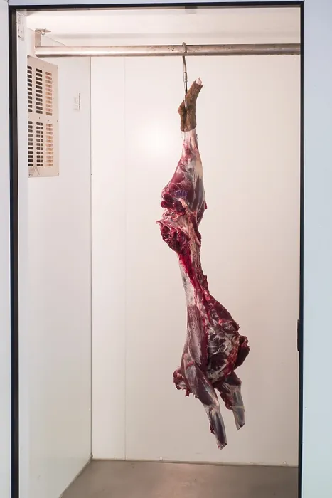 Framed Print : Skinned Deer Print: Meat Hook in Cold Store Framed Print : Skinned Deer Print: Meat Hook in Cold Store