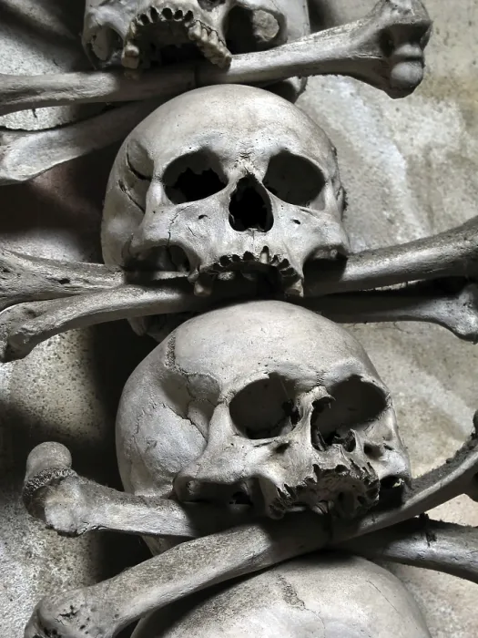 Framed Print : Skulls and Bones Print Framed Print : Skulls and Bones Print