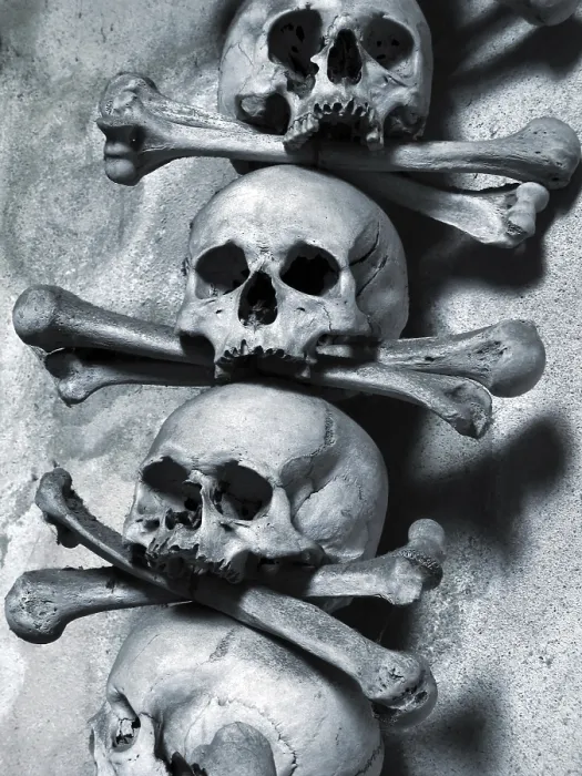 Framed Print : Skulls and Bones Print Framed Print : Skulls and Bones Print