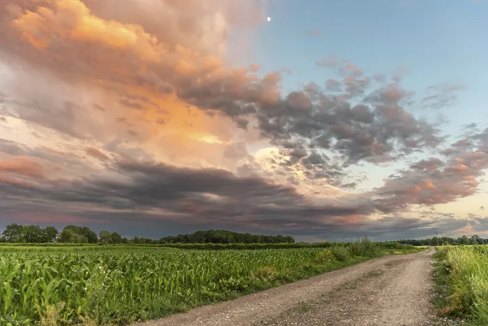 Framed Print : Evening Sunset over Alsace Fields Print Framed Print : Evening Sunset over Alsace Fields Print