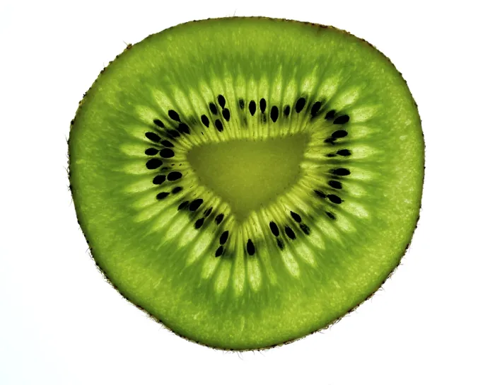 Framed Print : Slice of Kiwi Print Framed Print : Slice of Kiwi Print