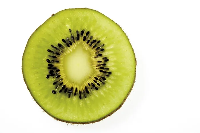 Framed Print : Kiwi Fruit Slice Print Framed Print : Kiwi Fruit Slice Print