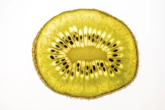 Framed Print : Kiwi Fruit Print on White Background Framed Print : Kiwi Fruit Print on White Background