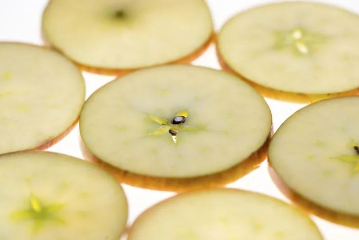 Framed Print : Sliced Apple Print Framed Print : Sliced Apple Print