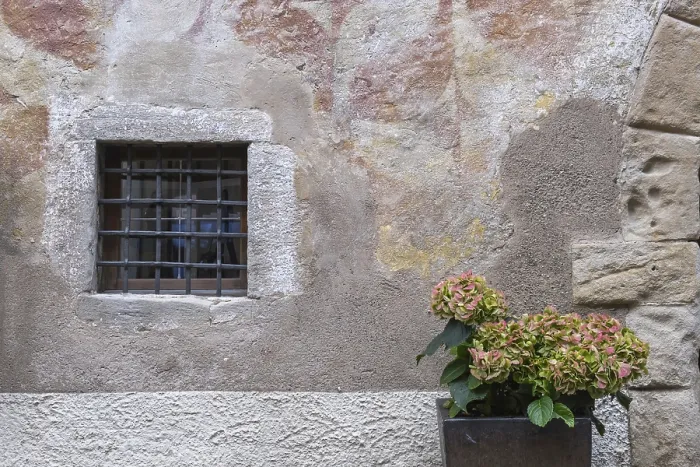 Framed Print : Small Barred Window, Hydrangea in Kaltern (Caldero) Print Framed Print : Small Barred Window, Hydrangea in Kaltern (Caldero) Print