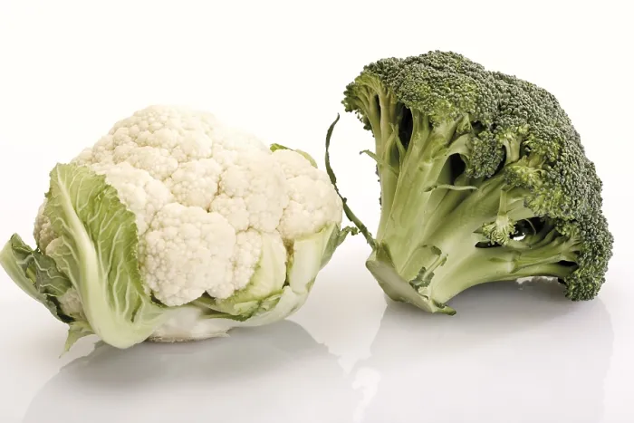 Framed Print : Small Cauliflower and Broccoli Print Framed Print : Small Cauliflower and Broccoli Print