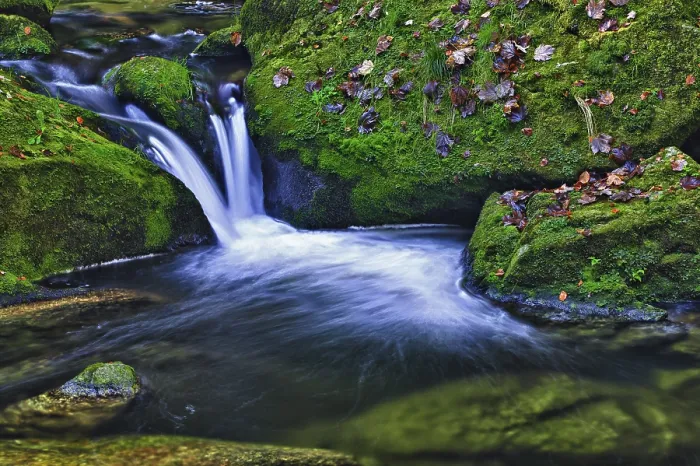 Framed Print : Bavarian Forest Waterfall Print, Germany Framed Print : Bavarian Forest Waterfall Print, Germany