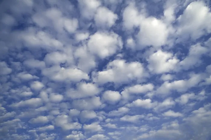Framed Print : Small Fluffy Clouds Print: Cirrocumulus