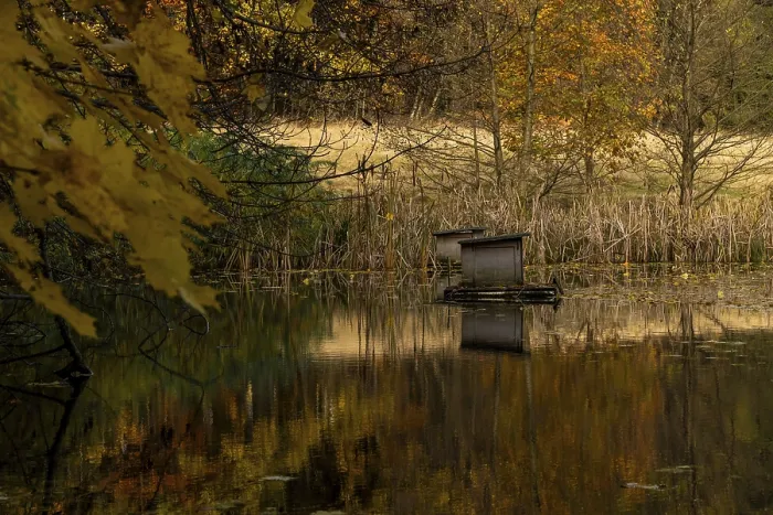 Framed Print : Small Pond in Autumn Print Framed Print : Small Pond in Autumn Print