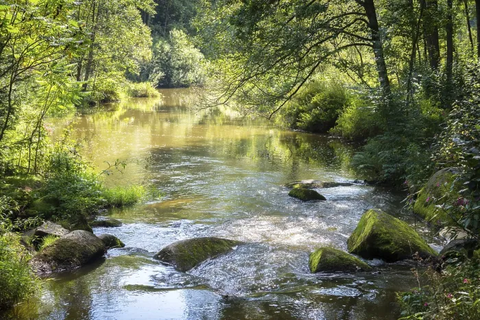 Framed Print : Small Rapids on a Stream in Summer Print Framed Print : Small Rapids on a Stream in Summer Print