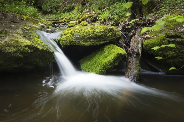 Framed Print : A Small Stream in a Forest with a Waterfall Print Framed Print : A Small Stream in a Forest with a Waterfall Print