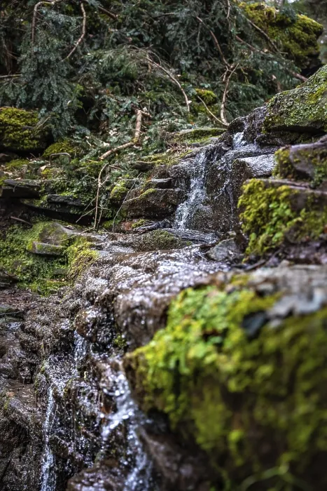 Framed Print : Black Forest Waterfall Print, Germany