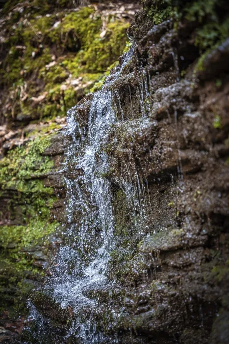 Framed Print : Black Forest Waterfall Print, Germany Framed Print : Black Forest Waterfall Print, Germany