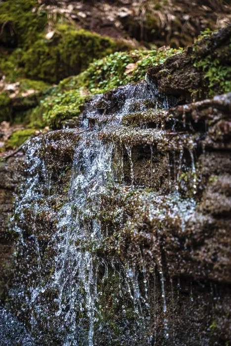 Framed Print : Black Forest Waterfall Print, Germany Framed Print : Black Forest Waterfall Print, Germany