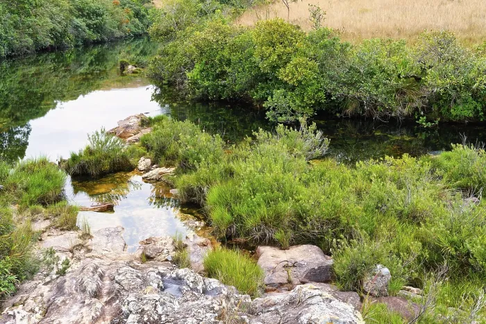 Framed Print : Small Stream Print, Serra da Canastra, Brazil Framed Print : Small Stream Print, Serra da Canastra, Brazil