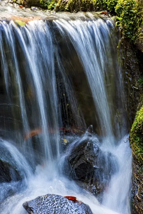 Framed Print : Small Stream and Waterfall Print, Brazilian Rainforest Framed Print : Small Stream and Waterfall Print, Brazilian Rainforest