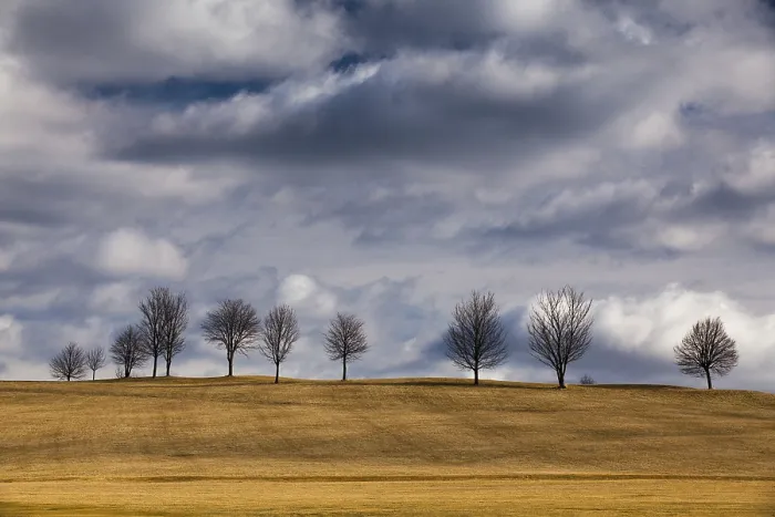 Framed Print : Autumn Trees Golf Course Print Framed Print : Autumn Trees Golf Course Print