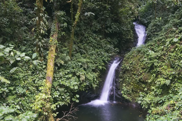 Framed Print : Small Waterfall in Costa Rica Cloud Forest Print Framed Print : Small Waterfall in Costa Rica Cloud Forest Print