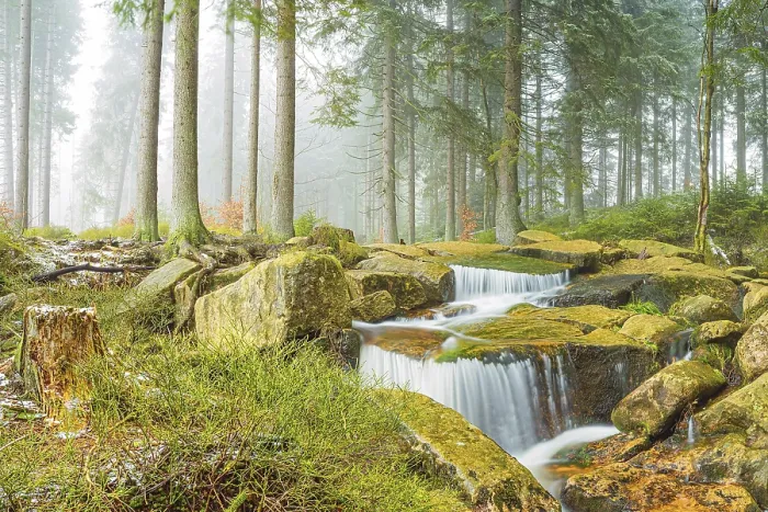 Framed Print : Small Waterfall, Kalte Bode, Harz Print Framed Print : Small Waterfall, Kalte Bode, Harz Print