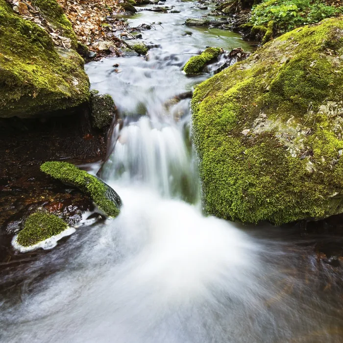 Framed Print : Small Waterfall in the Primeval Forest Print Framed Print : Small Waterfall in the Primeval Forest Print