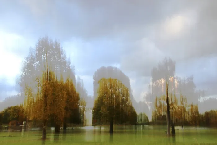 Framed Print : Autumn Trees Smear Effect Print Framed Print : Autumn Trees Smear Effect Print