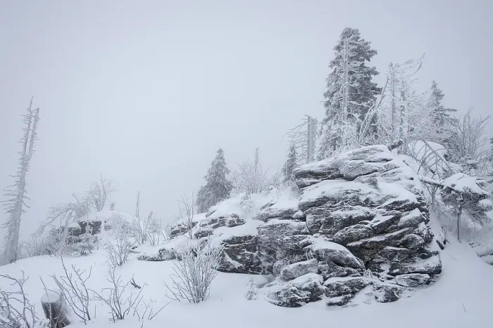 Framed Print : Winter Landscape Print: Snow-covered Trees and Rocks