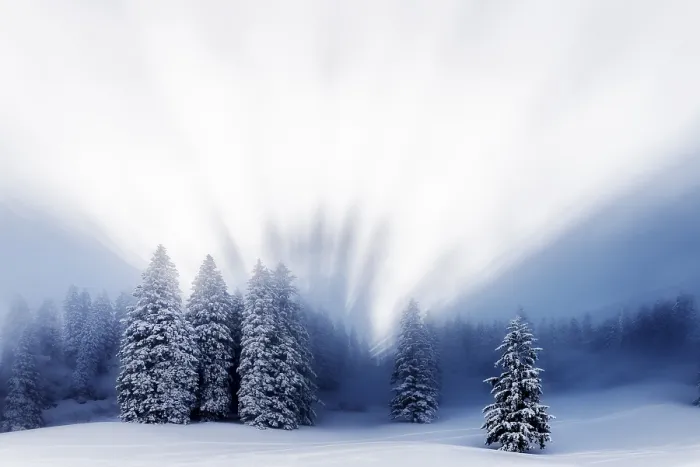 Framed Print : Snow-covered Winter Forest Print, Ofterschwang, Bavaria Framed Print : Snow-covered Winter Forest Print, Ofterschwang, Bavaria