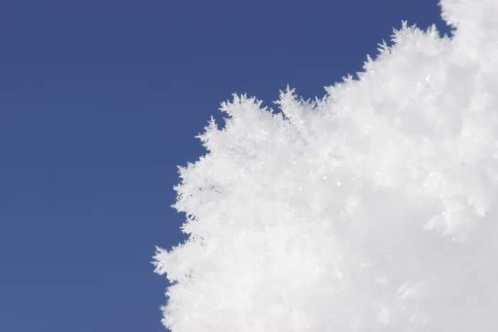 Framed Print : Snow Crystals Print Framed Print : Snow Crystals Print