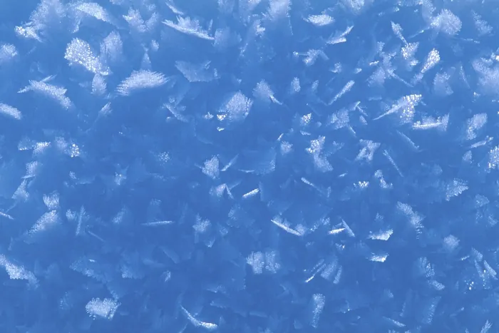 Framed Print : Snow Crystals Print: Delicate Ice Formations Framed Print : Snow Crystals Print: Delicate Ice Formations