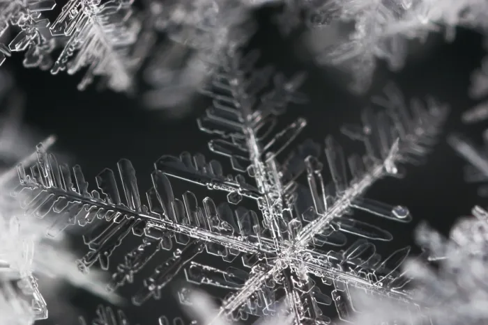 Framed Print : Snow Crystals Print - Delicate Ice Formations Framed Print : Snow Crystals Print - Delicate Ice Formations