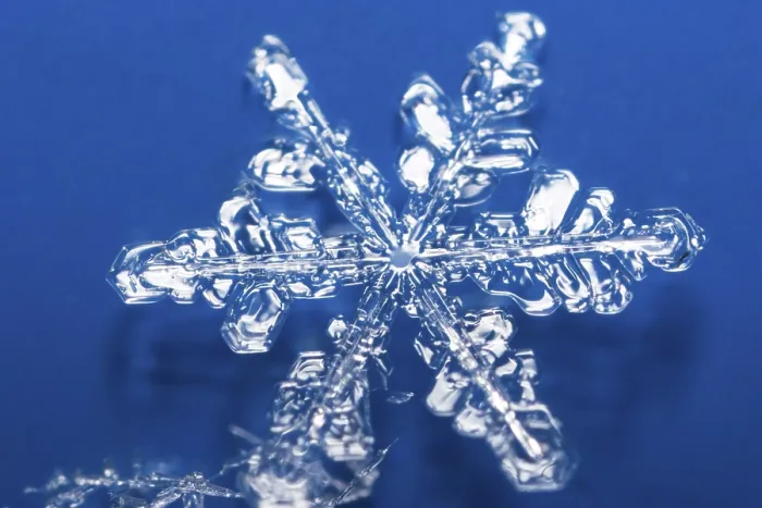 Framed Print : Snow Crystals Print - Delicate Ice Formations Framed Print : Snow Crystals Print - Delicate Ice Formations