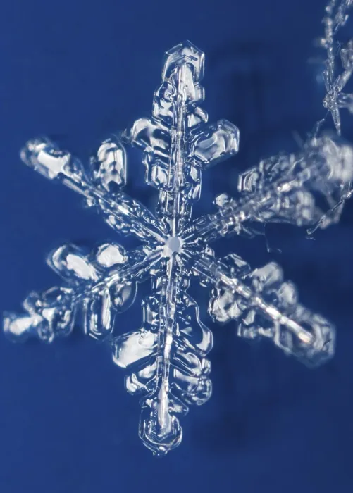 Framed Print : Snow Crystals Print - Delicate Ice Formations Framed Print : Snow Crystals Print - Delicate Ice Formations