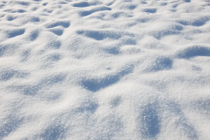 Framed Print : Snow in a Meadow Print Framed Print : Snow in a Meadow Print