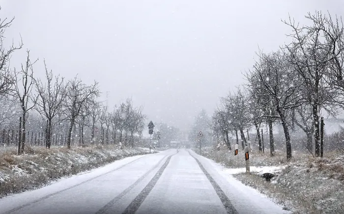 Framed Print : Snowfall Print by ImageBROKER