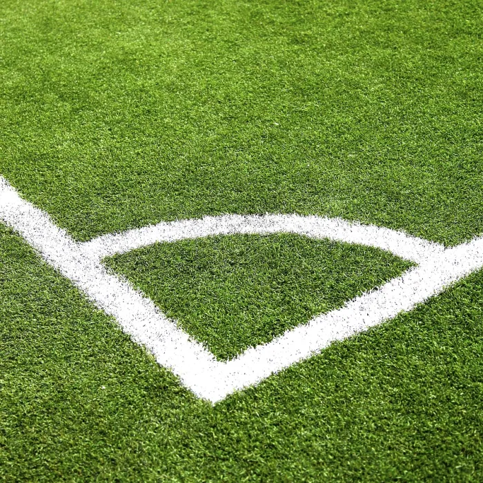 Framed Print : Soccer Ground Print from imageBROKER Framed Print : Soccer Ground Print from imageBROKER