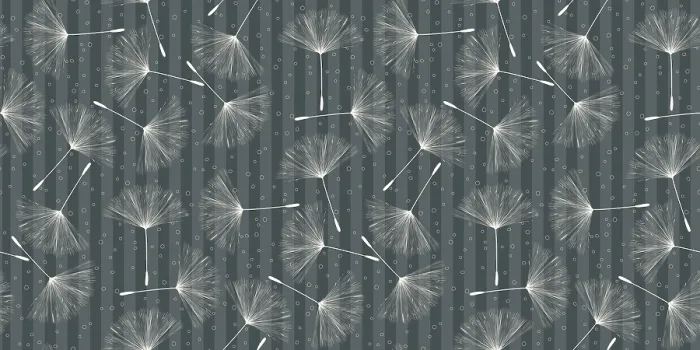 Framed Print : Soft Gray Dandelion Seed Print Framed Print : Soft Gray Dandelion Seed Print