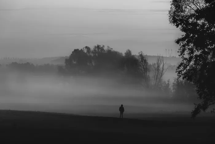 Framed Print : Black and White Print of Solitude in German Mist Framed Print : Black and White Print of Solitude in German Mist