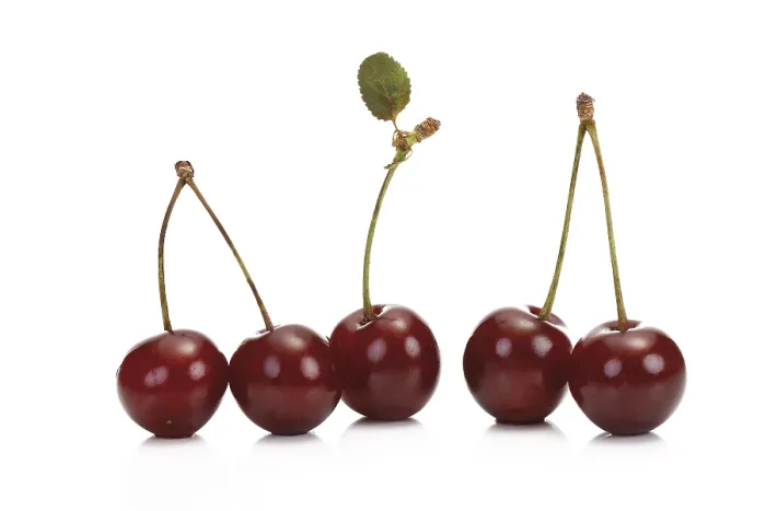 Framed Print : Sour Cherries Print Framed Print : Sour Cherries Print