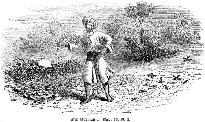 Framed Print : Print of The Sower, Matthew 13:3 Framed Print : Print of The Sower, Matthew 13:3