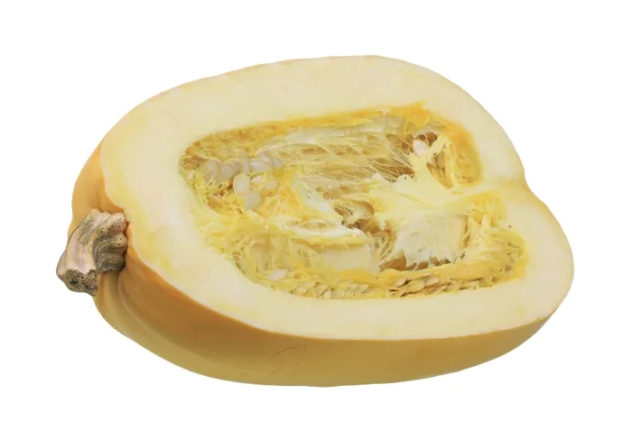 Framed Print : Spaghetti Squash and Pumpkin Print Framed Print : Spaghetti Squash and Pumpkin Print