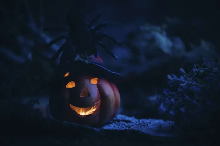 Framed Print : Spider on a Glowing Pumpkin Lantern Print Framed Print : Spider on a Glowing Pumpkin Lantern Print