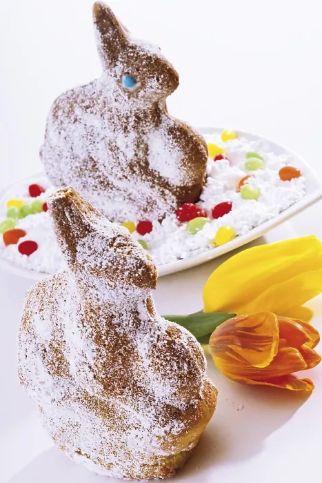 Framed Print : Easter Bunny Sponge Cake Print Framed Print : Easter Bunny Sponge Cake Print
