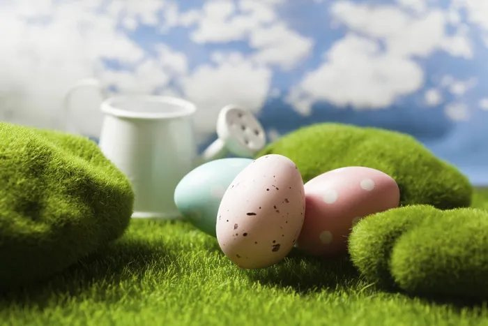 Framed Print : Spotted Easter Eggs on Grass Print Framed Print : Spotted Easter Eggs on Grass Print