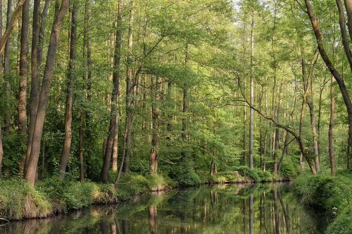 Framed Print : Spreewald Print Framed Print : Spreewald Print