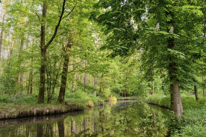 Framed Print : Spreewald Print from imageBROKER