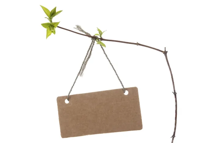 Framed Print : Spring Branch Print with Tied Tag Framed Print : Spring Branch Print with Tied Tag