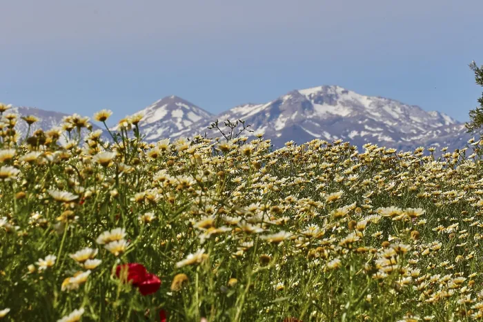 Framed Print : Spring in Crete: Print of Lefka Ori Mountains Framed Print : Spring in Crete: Print of Lefka Ori Mountains